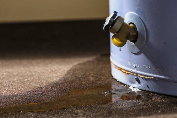 Water damage restoration mold remediation in Hercules, CA
