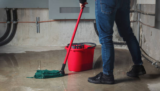 Best Professional water damage repair  in Hercules, CA