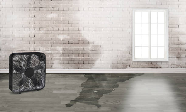  Hercules, CA Water damage restoration Pros