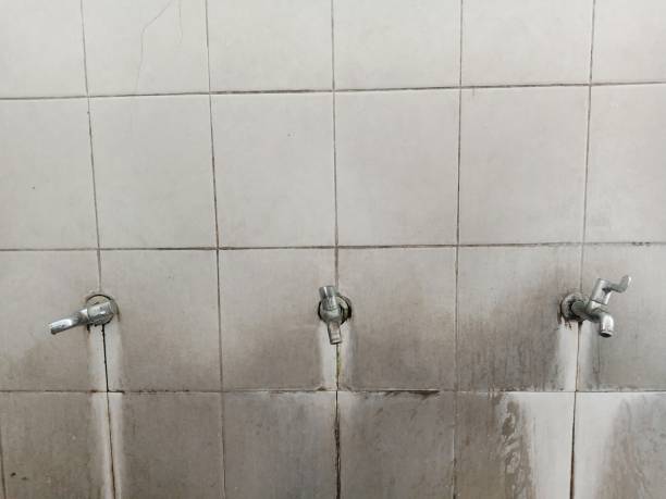 Best Water damage restoration mold remediation  in Hercules, CA