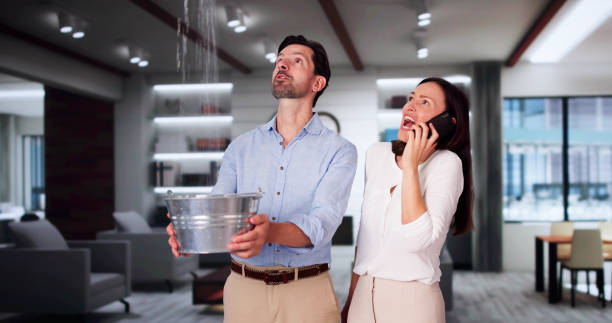 Water damage restoration insurance claims in Hercules, CA