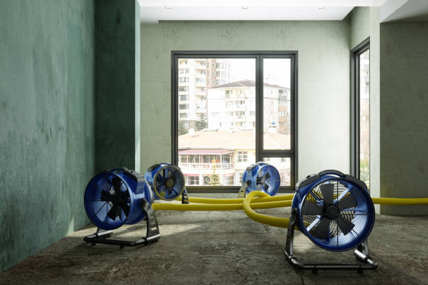 Best Ceiling water damage repair  in Hercules, CA
